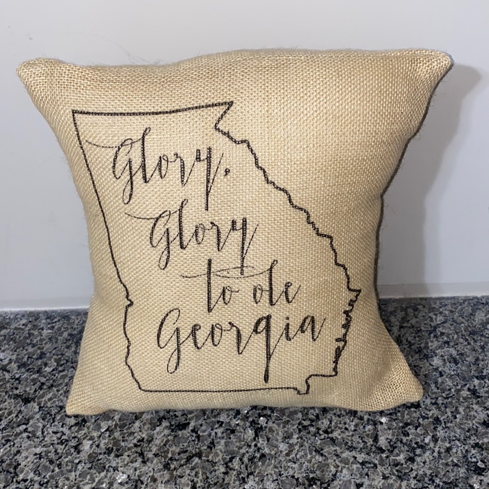 Georgia Throw Pillow. NWOT.